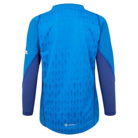 Arsenal Doelman Uitshirt 2023-24 Lange Mouw